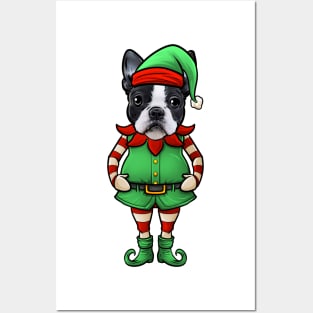 Boston Terrier Christmas Elf Posters and Art